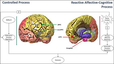 Commentary: Putting ‘Emotional Intelligences' in Their Place: Introducing the Integrated Model of Affect-Related Individual Differences